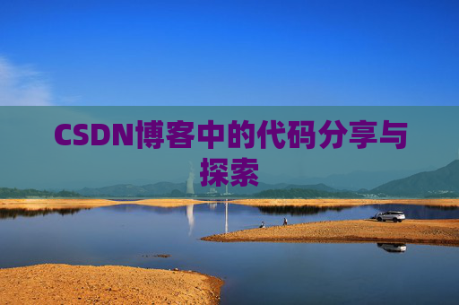 CSDN博客中的代码分享与探索